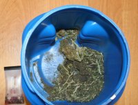 Susz koloru zielonego w niebieskim pojemniku wraz z narkotesterem wskazującym że zabezpieczona substancja to marihuana