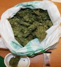 Susz koloru zielonego w worku wraz z narkotesterem wskazującym że zabezpieczona substancja to marihuana