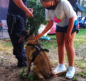 Dziewczynka głaszcząca psa policyjnego